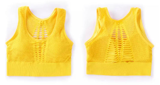 Seamless Mesh Sports Bra
