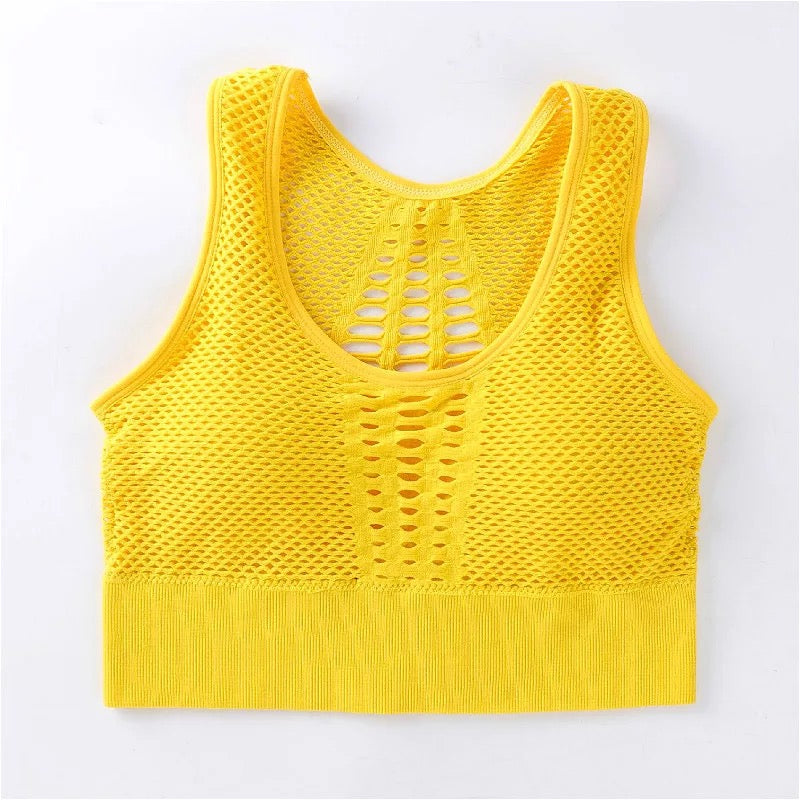 Seamless Mesh Sports Bra